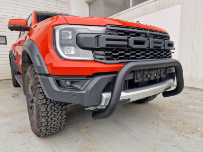 Roll bar e Bull bar